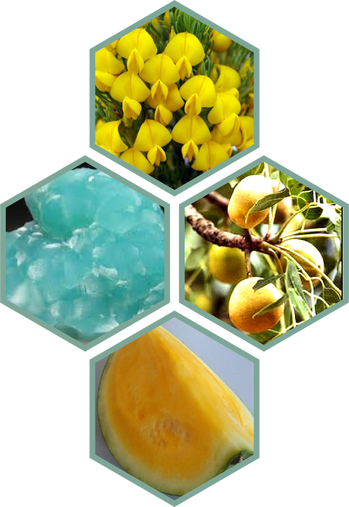 Honeybush Extract, Zincite, Marula